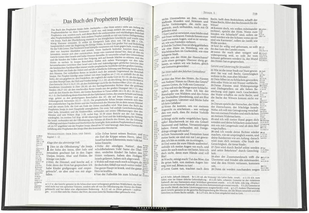 Schlachter 2000 Bibel – Taschenausgabe (Hardcover, schwarz)