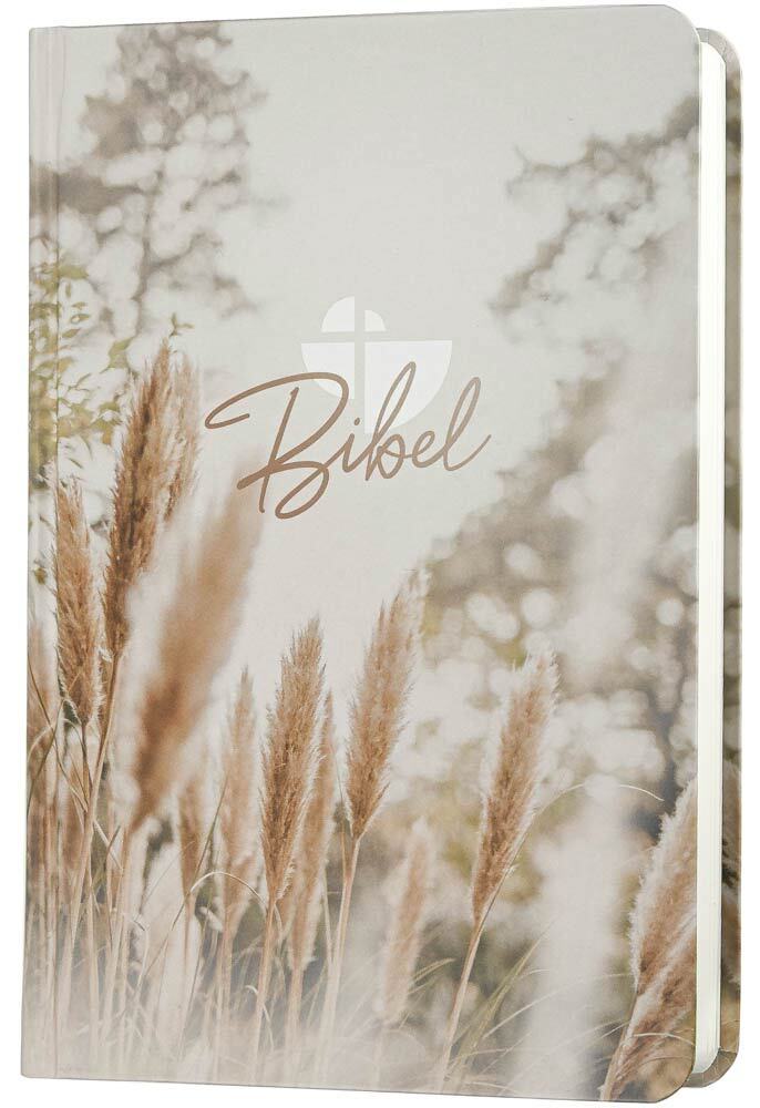 Schlachter 2000 Bibel - Taschenausgabe (Hardcover, farbiger Einband Pampasgras)