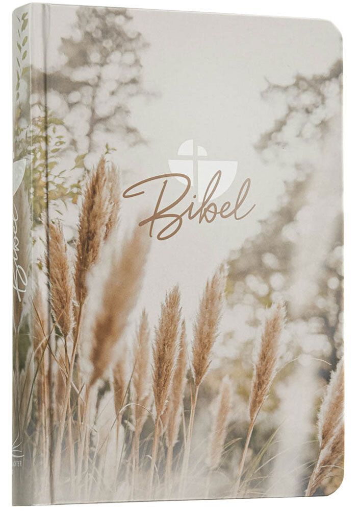 Schlachter 2000 Bibel - Taschenausgabe (Hardcover, farbiger Einband Pampasgras)
