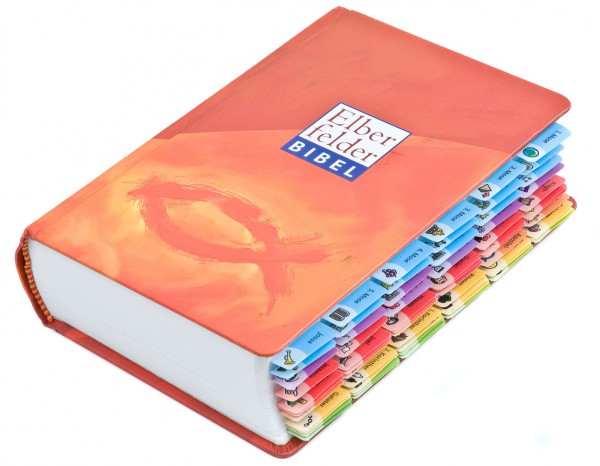Mein Bibel-Griffregister: Das Bibel-Griffregister für Kinder