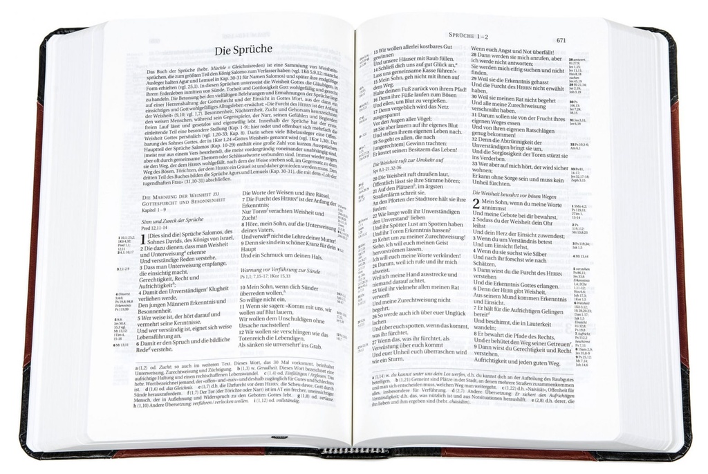 Die Bibel - Schlachter 2000 Taschenausgabe. PU-Einband, Duotone grau/braun. Mit Parallelstellen. Farbige Karten, neue Rechtschreibung.