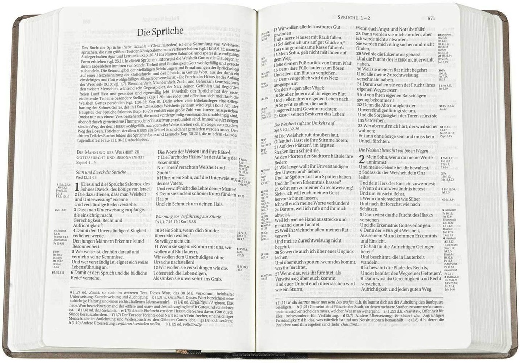 Schlachter 2000 Bibel - Taschenausgabe (Halbleinen-Einband)