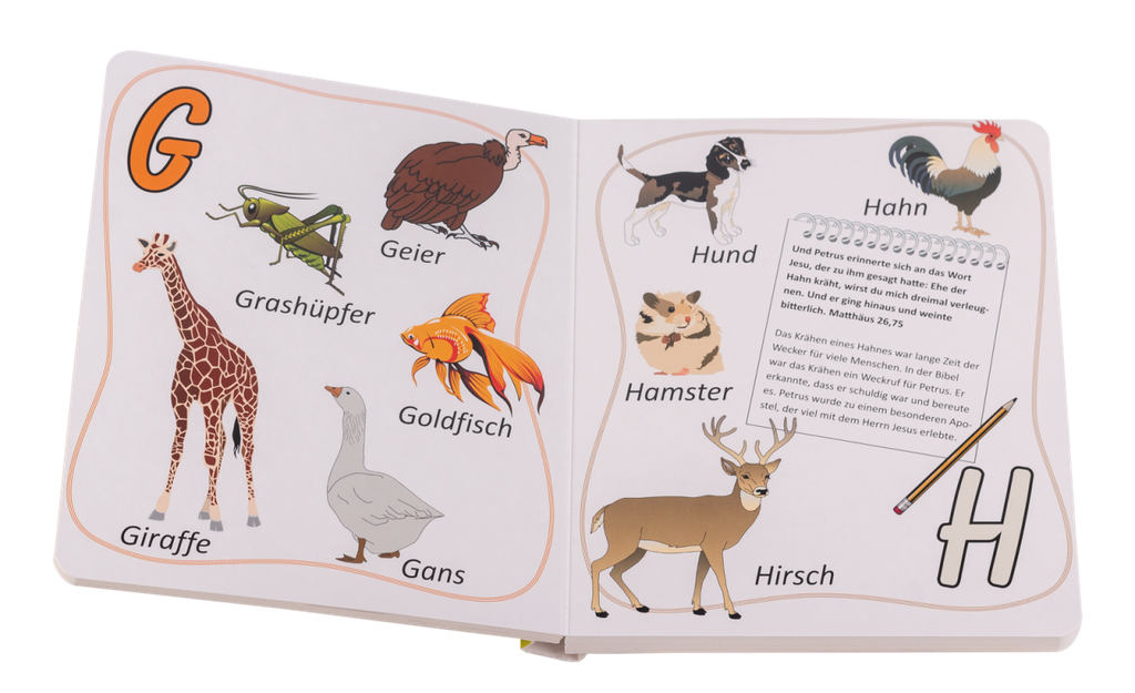 Pappbuch - ABC
Lerne von Gottes Tierreich