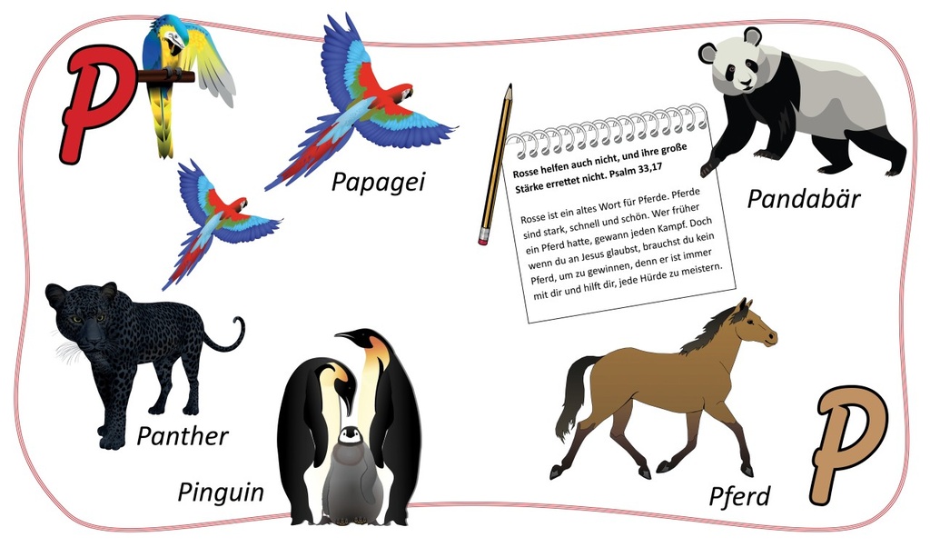 Pappbuch - ABC
Lerne von Gottes Tierreich