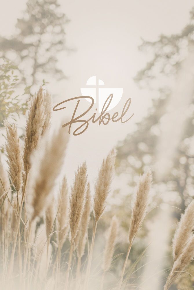 Schlachter 2000 Bibel - Taschenausgabe (Hardcover, farbiger Einband Pampasgras)