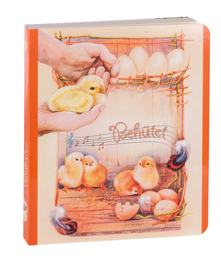 Pappbuch - Behütet
14 Lieder für Kinder