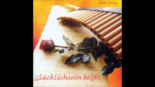 David Döring Instrumental - Glücklich sein heißt, ...