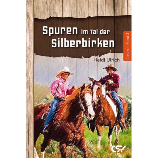 Spuren im Tal der Silberbirken (Band 3)